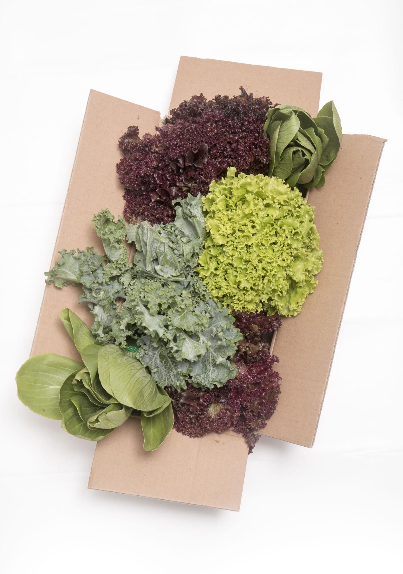 flat lay of three meal kit boxes with herbs